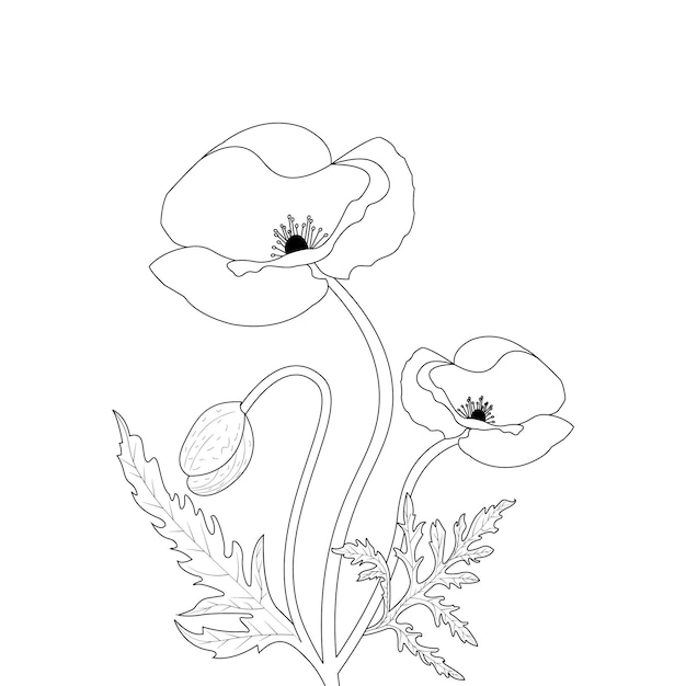 Vector hand drawn simple flower line art illustration