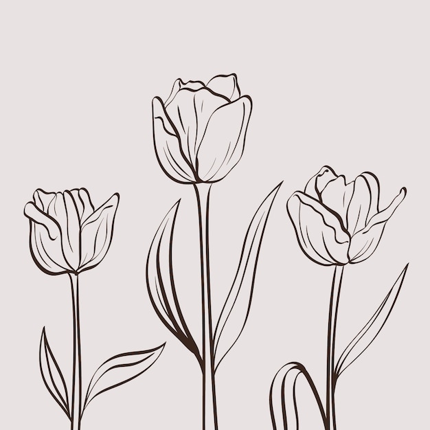 Vector hand drawn simple flower outline illustration