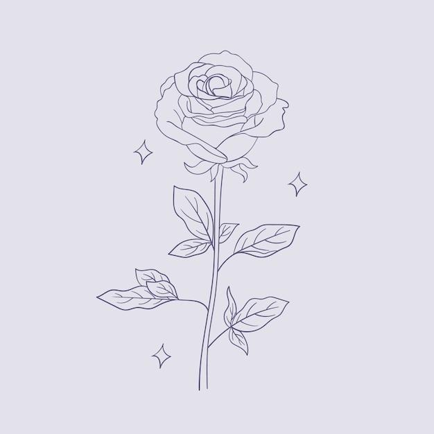 Vector hand drawn simple flower outline illustration