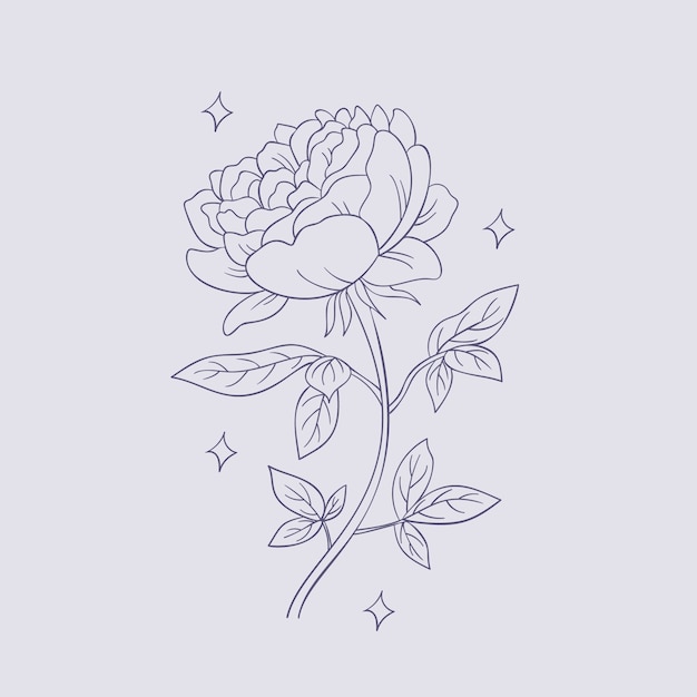 Vector hand drawn simple flower outline illustration