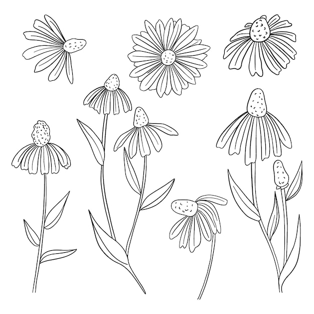 手描きのシンプルな花の輪郭のイラスト