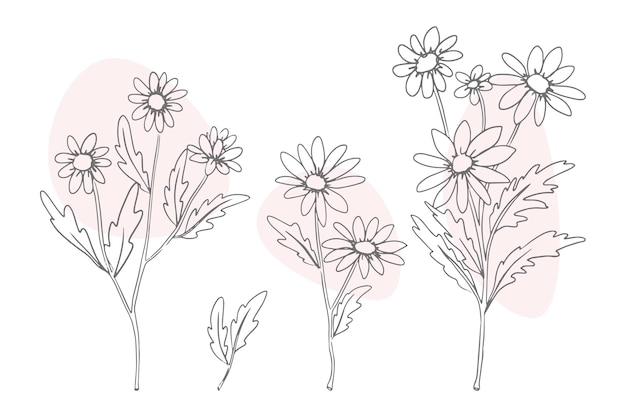 Hand drawn simple flower outline illustration