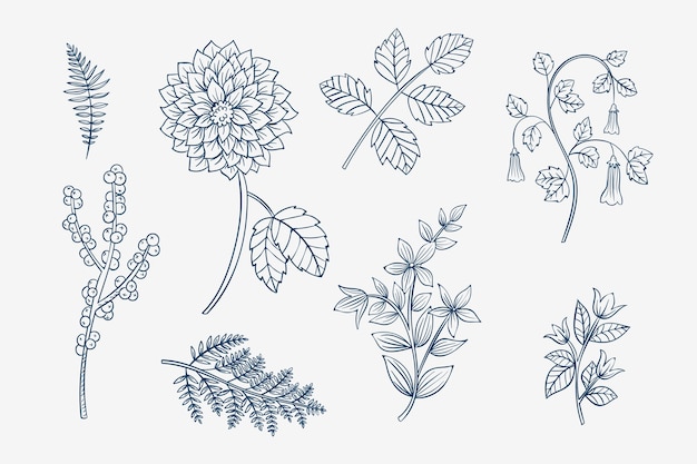 Hand drawn simple flower outline