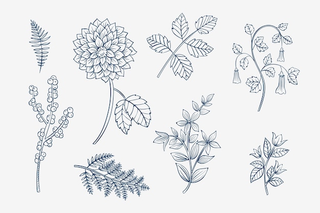 Vector hand drawn simple flower outline