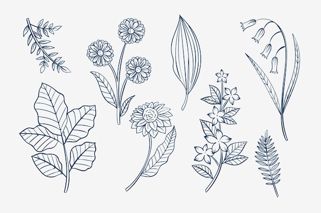 Vector hand drawn simple flower outline