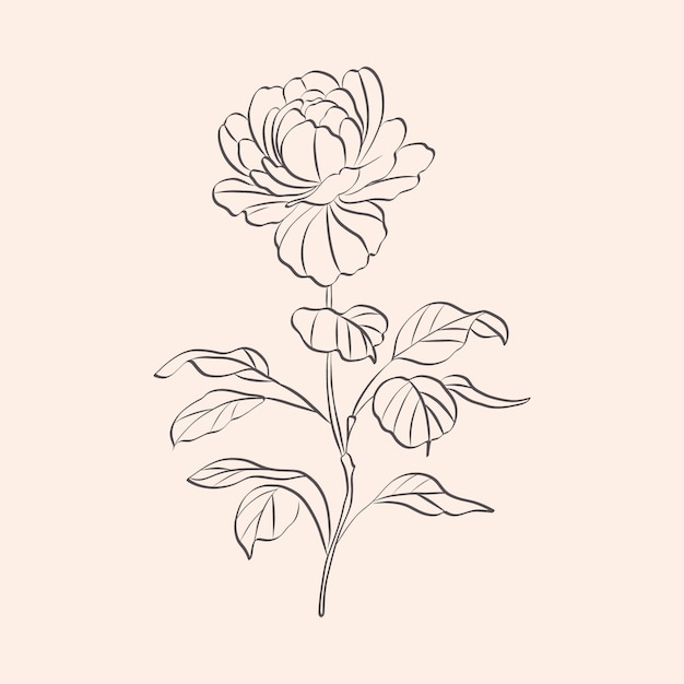 Vector hand drawn simple flower outline