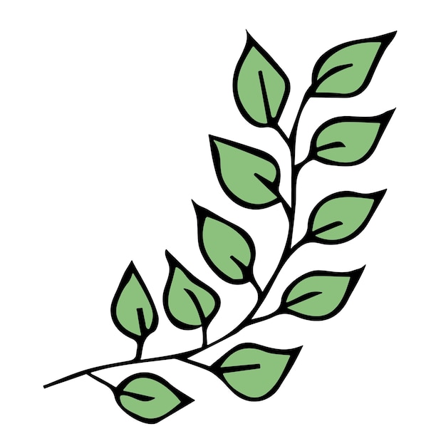 Hand drawn simple leaf Eco doodle clipart Botanical illustration