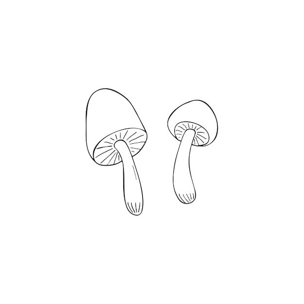 Ручно нарисованные простые грибы Изолированные векторные иллюстрации грибов на белом фоне