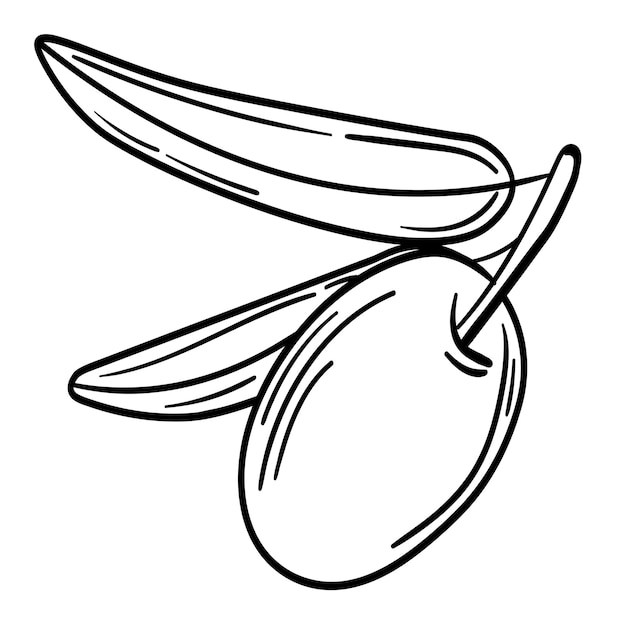 Hand drawn simple olive branch for your design