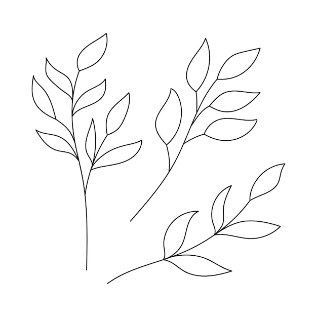 Hand drawn simple outline twigs with leaves Botanical decorative elements Black and white doodle vector illustration isolated on a white background