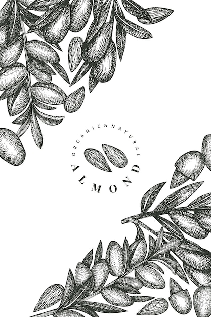 Hand drawn sketch almond design template. retro nut illustration. engraved style botanical background.