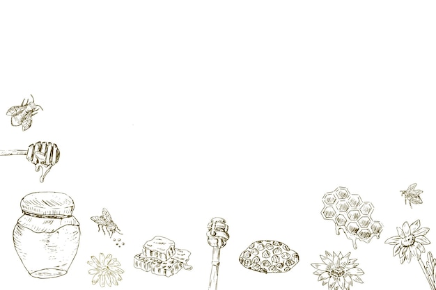 Hand drawn sketch background of honey design elements vector illustration can used for wrapping
