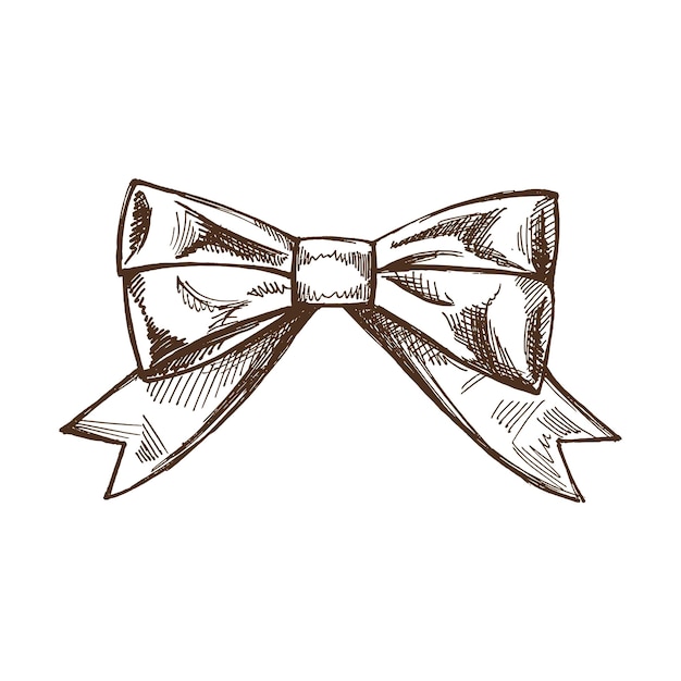 Vector hand drawn sketch of bow isolated on white close up of decoration