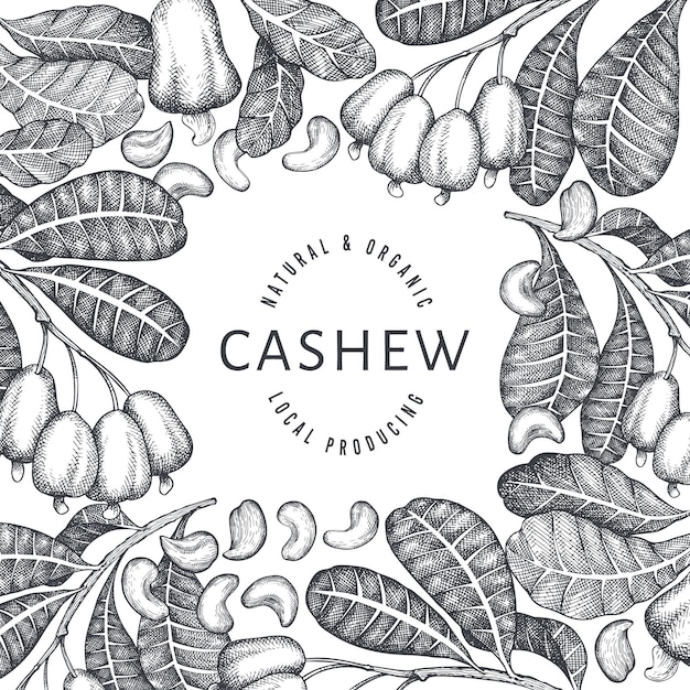 Hand drawn sketch cashew design