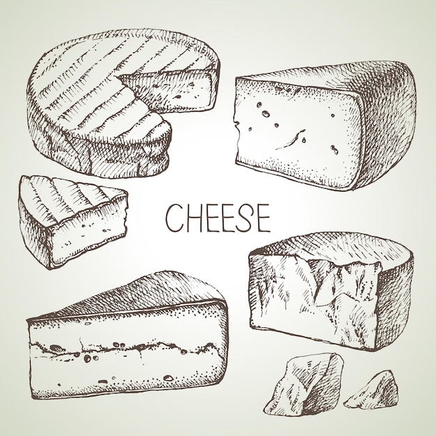 Hand drawn sketch cheese types set vector illustration of natural foods