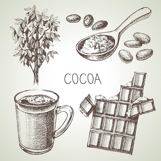 Set di prodotti di cioccolato al cacao disegnato a mano illustrazione vettoriale vintage di alimenti naturali sani