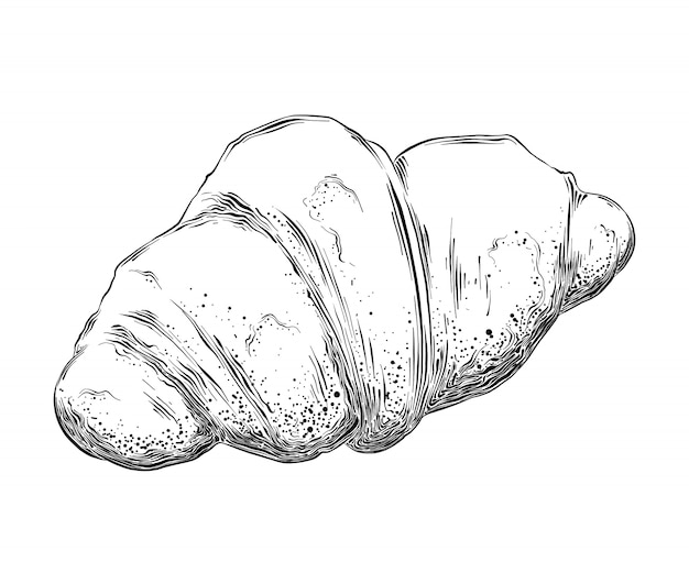 Vector hand drawn sketch of croissant in black isolated . detailed vintage style drawing.