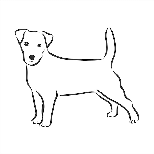 Vettore schizzo disegnato a mano di carino divertente jack russell terrier. illustrazione vettoriale