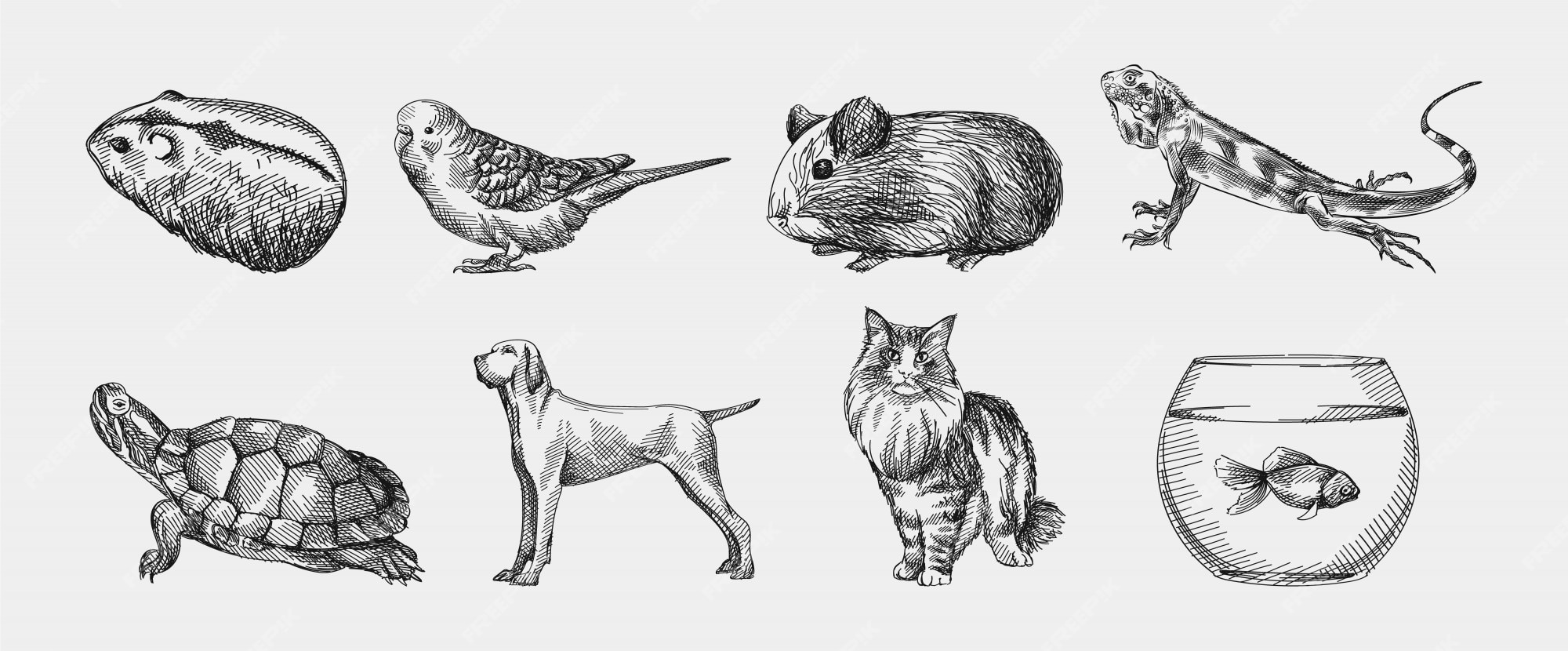 Premium Vector | Hand-drawn sketch of domestic animals set. set ...