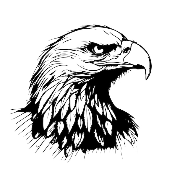 Hand drawn sketch eagle head black and white vector