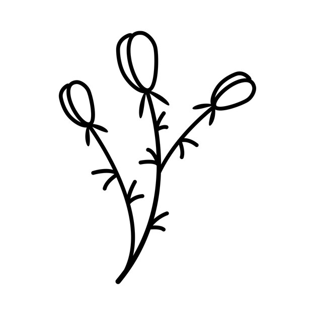 손으로 그린 스케치 꽃 흰색 배경에 고립 간단한 낙서 스타일