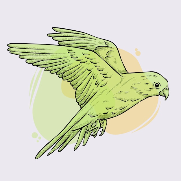 Hand drawn sketch of flying bird outline drawing of bird in\
green watercolors