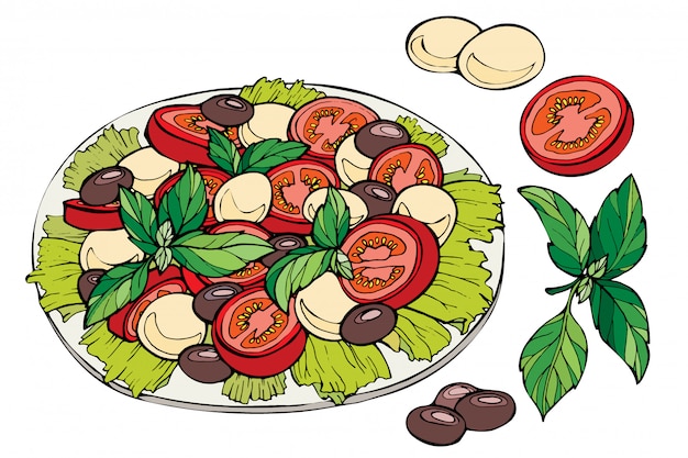 Vettore schizzo disegnato a mano di insalata fresca.