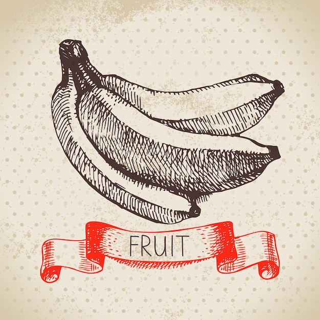 Hand drawn sketch fruit banana Eco food background Vector illustration