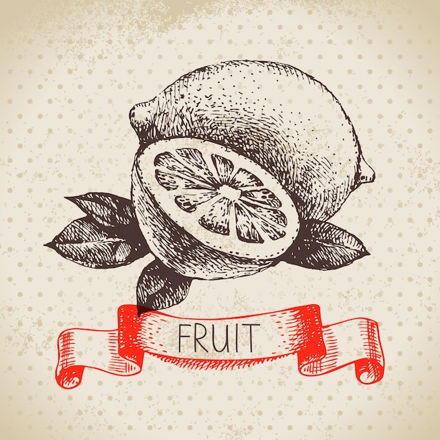 Hand drawn sketch fruit lemon Eco food background Vector illustration
