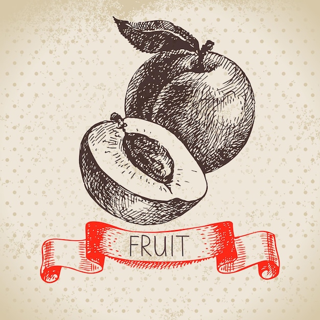 Ручной рисунок фруктового персика Эко пищевой фон Векторная иллюстрация