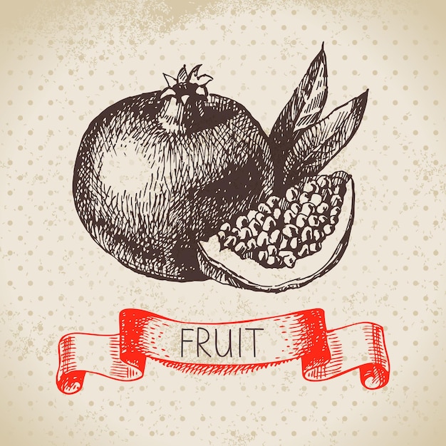 Ручной рисунок фруктового граната Эко-пищевой фон Векторная иллюстрацияx9