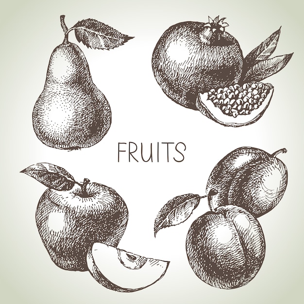 Insieme di frutta schizzo disegnato a mano. alimenti ecologici. illustrazione