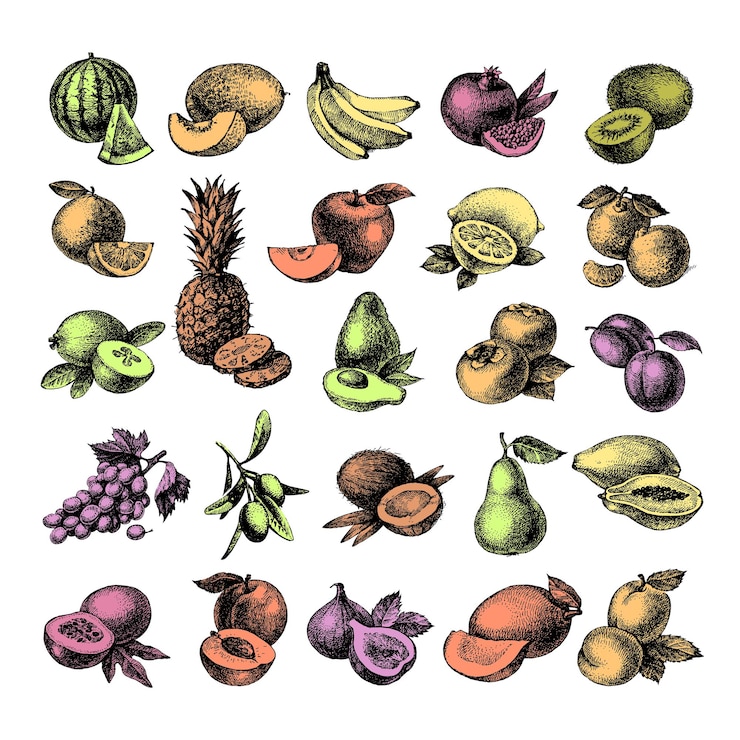 Vector 手描きスケッチフルーツセットエコ食品ベクトルイラスト