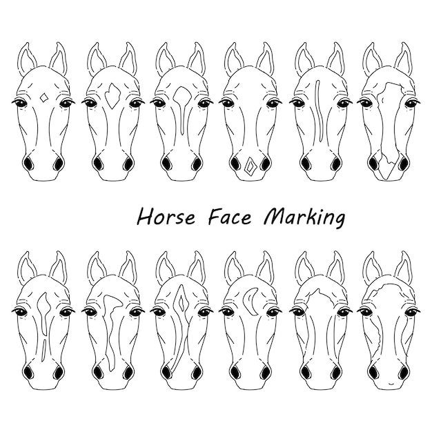 Hand drawn sketch horse faces