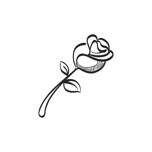 Vector hand drawn sketch icon rose flower