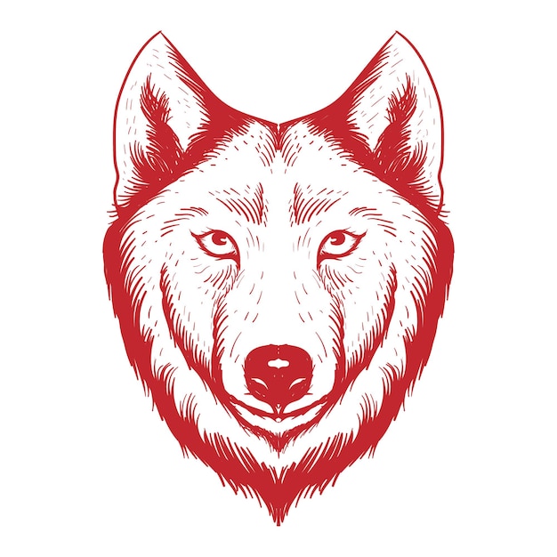 Wolf Head Drawing by Cywolfe on DeviantArt