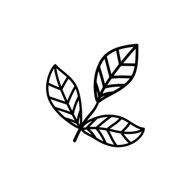 Hand drawn sketch leaf isolated on white background Simple doodle style