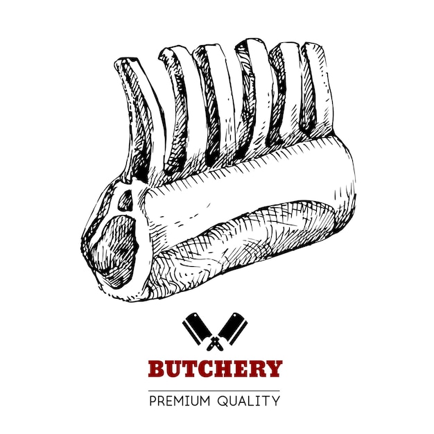 Hand drawn sketch meat product vector vintage illustration menu design