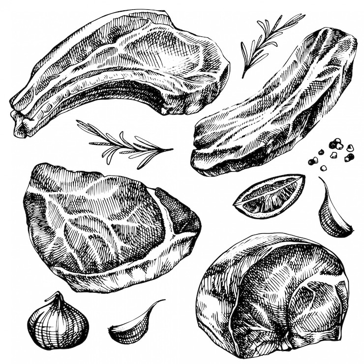Vector hand drawn sketch meat set. detailed ink food illustration. steak meat hand drawing with pepper and rosemary, lemon, garlic.