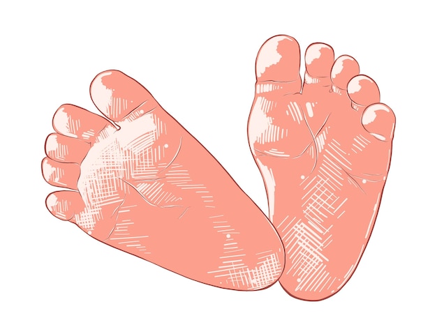 Vector hand drawn sketch of newborn baby foots print isolated on white background