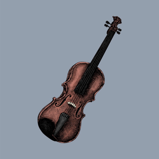 Рисованный эскиз скрипки