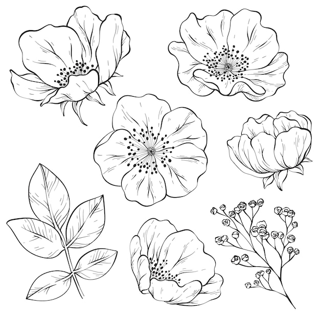 ベクトル 花の手描きスケッチ