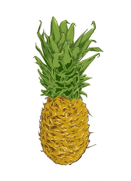 Vettore schizzo disegnato a mano di ananas a colori. isolato .