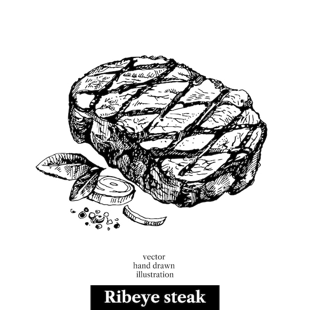 Vector hand drawn sketch ribeye steak isolated vector food illustration on white background