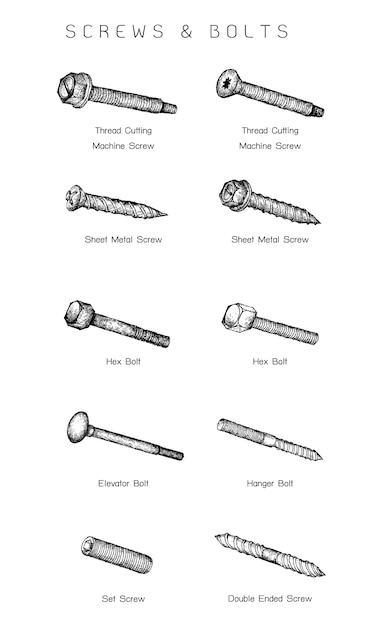 Hand drawn sketch of screw types set