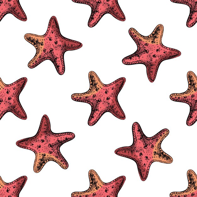 hand drawn sketch seamless pattern of starfish in vintage style marine background