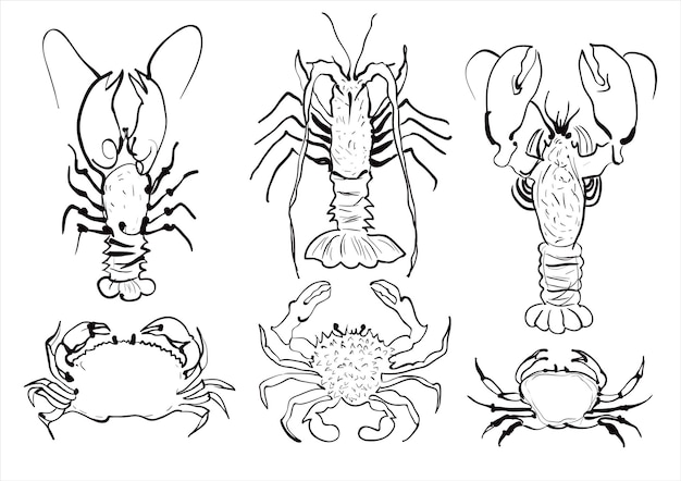 Hand drawn sketch set of seafood. Vector illustrations