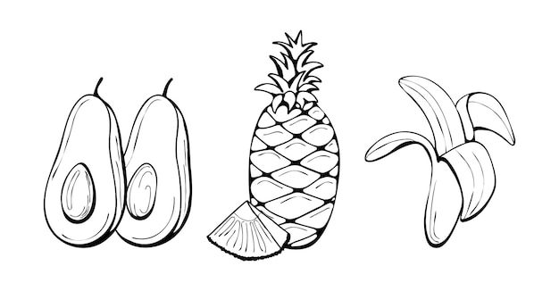Hand drawn sketch set of tropical fruits