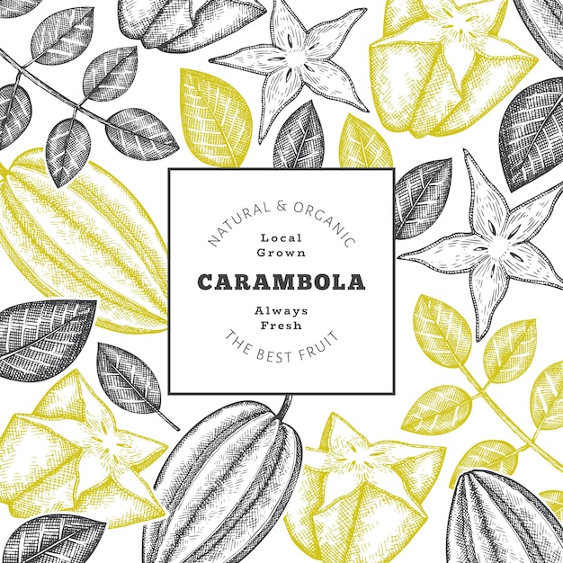 Vector hand drawn sketch style carambola banner organic fresh fruit vector illustration retro fruit design template