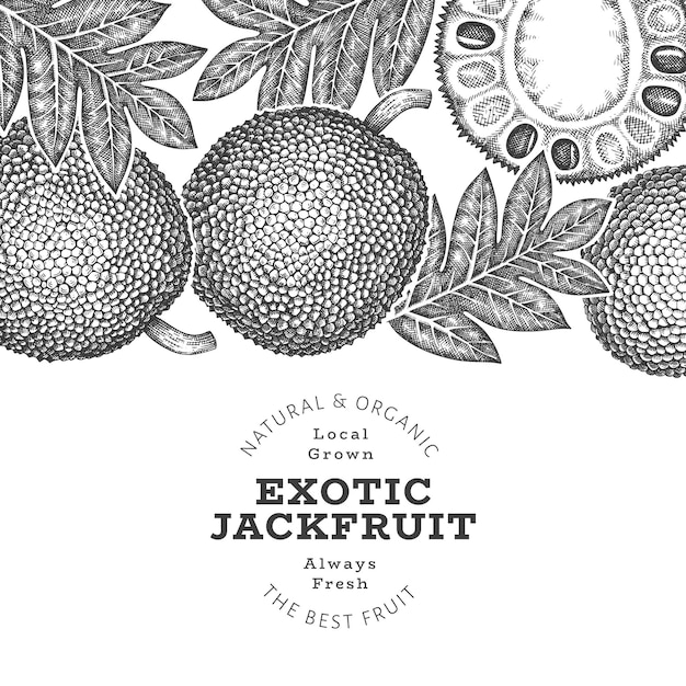 Banner di jackfruit in stile schizzo disegnato a mano illustrazione vettoriale di frutta fresca biologica modello di design retro di pane